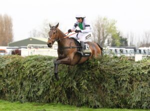 C16B1029 Pineau De Re