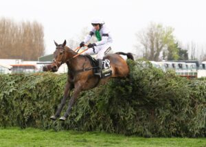 C16B1030 Pineau De Re