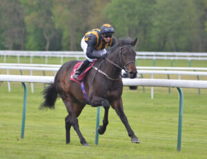 DSC 0007 Candonomore