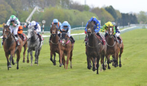 DSC 0045 Trilby