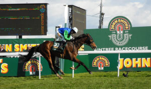 DSC 0116 Comply or Die