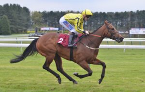 DSC 0130 Bright Thunder