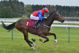 DSC 0160 Nellie Leylax