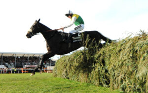 DSC 4860 Many Clouds