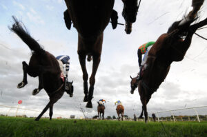 DSC 5270 Bangor on Dee worms eye