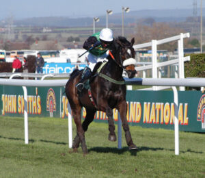 DSC 6432 Numbersixvalverde