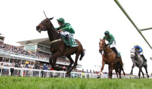 EN4D2238 Arizona Cardinal