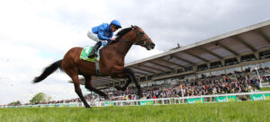 EN4D3079 Arabian Crown