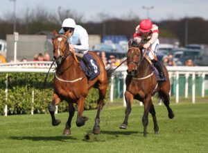 FU0E5296 King Of Spain