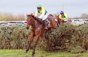 R001 008 Hedgehunter