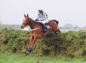 R001 013 Lord Gyllene
