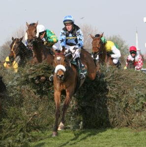 SC8C3076 Silver Birch