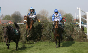 SC8C3091 Silver Birch