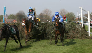 SC8C3092 Silver Birch