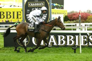 SC8C9687 Pineau De Re