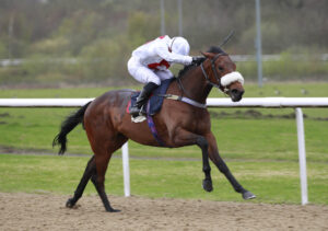 X5B6047 Horse Whisperer