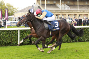 X5B6226 Ballymount Boy