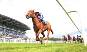 16B3182 Crystal Delight