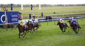 16B3613 Rosallion   Haatem