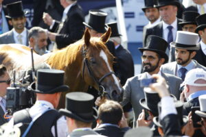 16B5263 Masar   Sheikh Mohammed