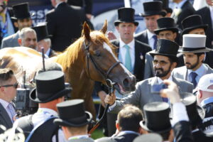 16B5264 Masar   Sheikh Mohammed