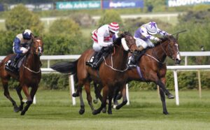 20J0163 Bold Discovery