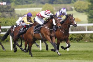 20J0166 Bold Discovery