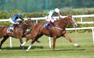 20J0356 Loup De Lilas