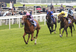 20J0537 Crystal Delight