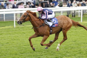 20J0550 Crystal Delight