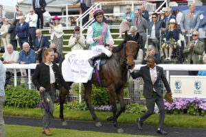 20J1075 Bluestocking