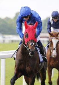 20J1104 Ancient Wisdom