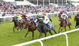 20J1393 Betty Clover