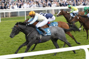 20J1401 Betty Clover