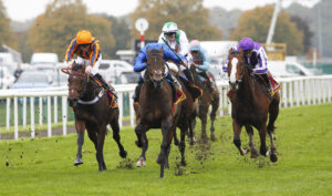 20J2133 Ancient Wisdom