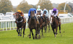 20J2136 Ancient Wisdom