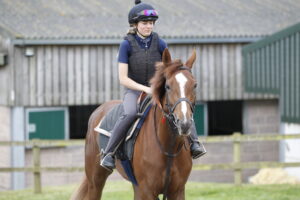 20J2377 Forest Fairy