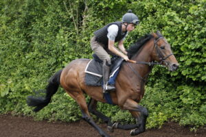 20J2478 Macduff