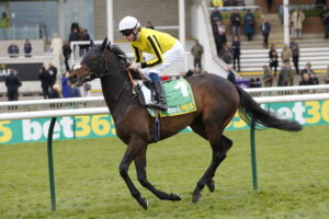 20J3529 Ambiente Friendly