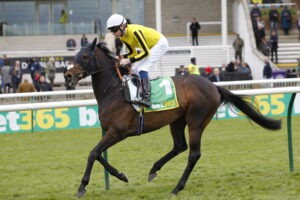 20J3530 Ambiente Friendly