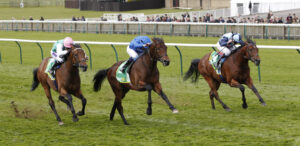 20J4060 First Conquest