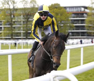 20J5068 James’s Delight