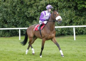 20J5804 Secret Satire