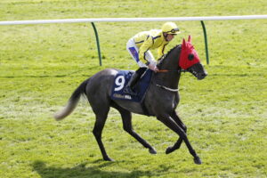 20J7439 Beautiful Diamond