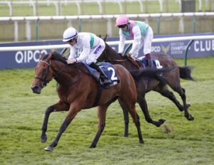 20J7930 Friendly Soul