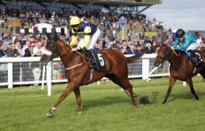 20J8190 Pearle D’Or