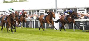 20J8350 Garfield Shadow