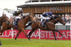 20J8353 Garfield Shadow