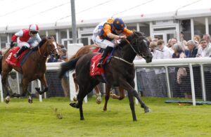 20J8401 Seraphim Angel