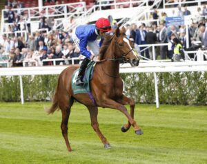 20J8508 Forest Fairy